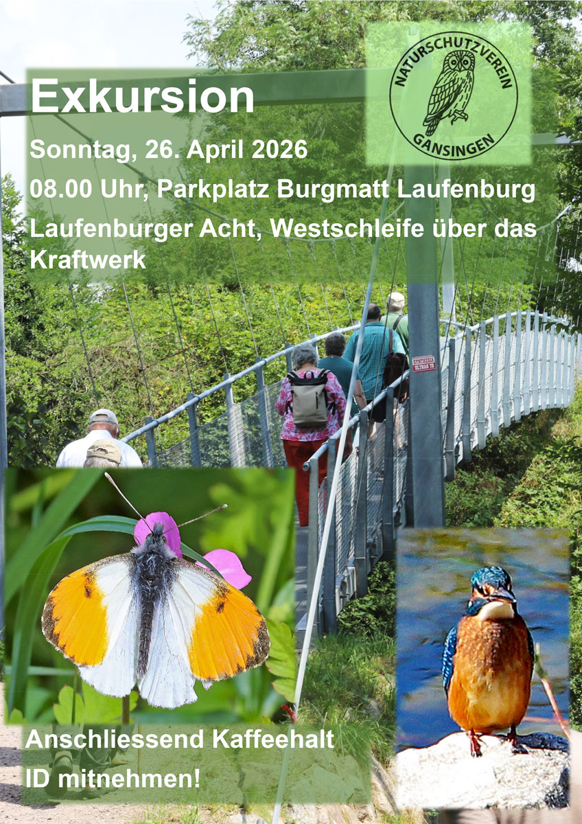 Exkursion Laufenburg