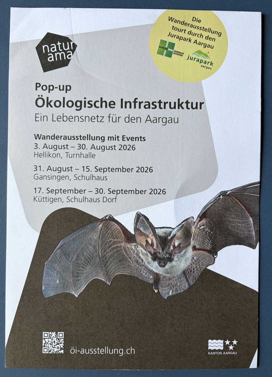 Flyer Ausstellung